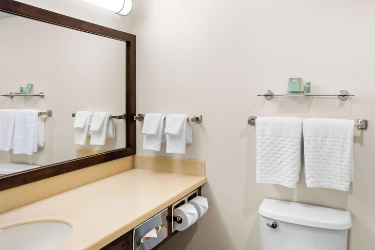 Bathroom 4, Best Western Thompson Hotel & Suites, Division No. 22