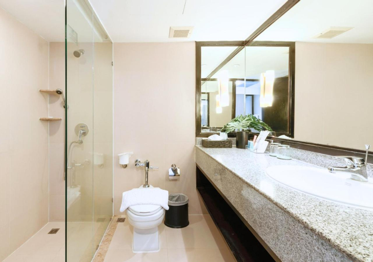 Bathroom 5