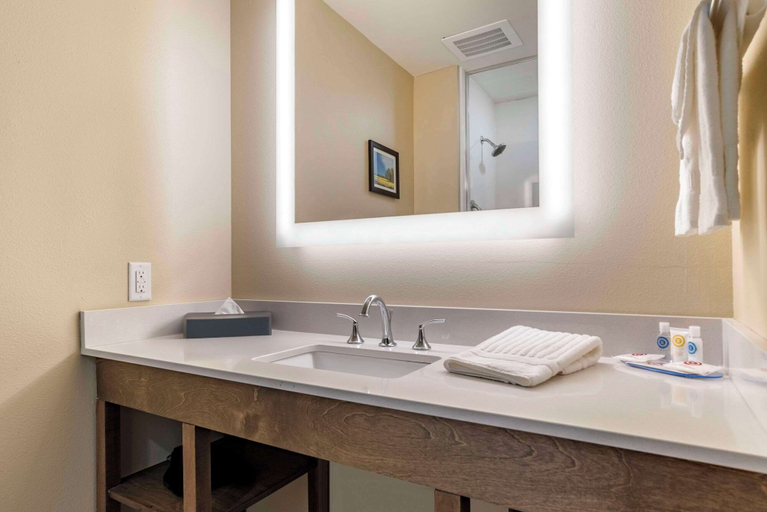 Bathroom 4, Comfort Inn & Suites Downtown near University, Tuscaloosa