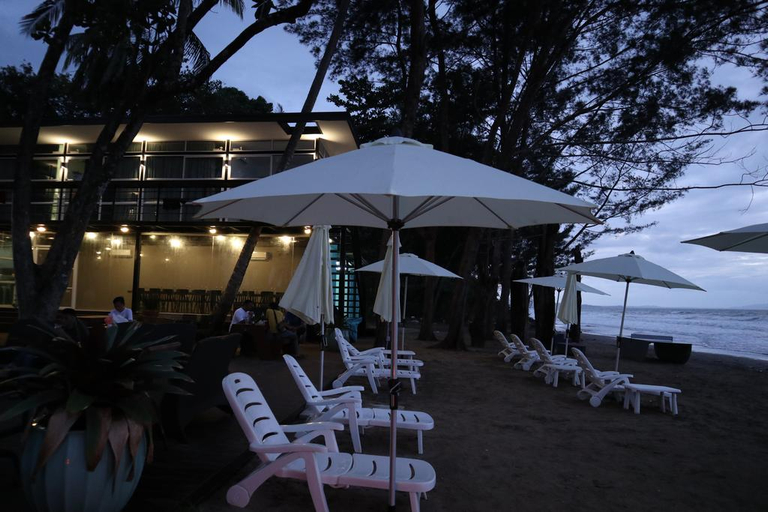 Food & Drinks 5, ROXY SEMATAN CANOPI, Lundu