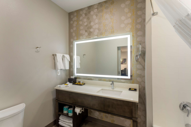 Bathroom 4, Best Western Plus Executive Residency Antioch Inn, Davidson