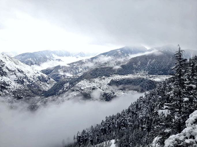 Others 4, Vansh Green View Homestay, Kullu