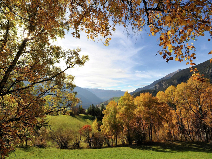 Others 4, Luxury Chalet with Hot Tub in La Tzoumaz, Martigny