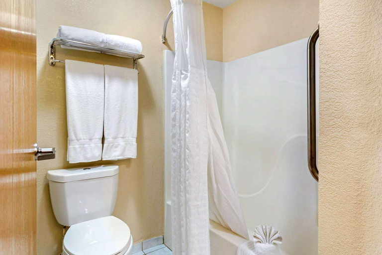 Bathroom 3, Comfort Inn & Suites Greeley, Weld