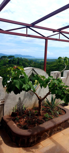 Garden 4, El Castillo Monte Campana, Garabito