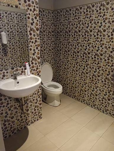 Bathroom 4, Roriz House, Palembang