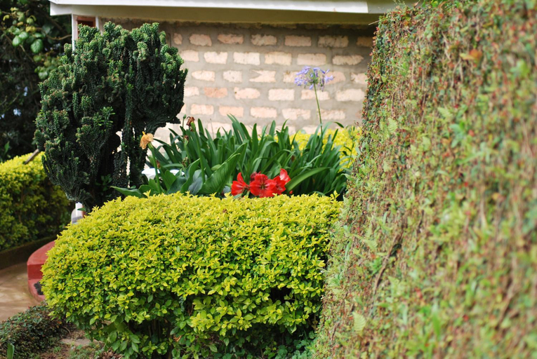 Others 5, Crater Bay Cottages, Ndorwa