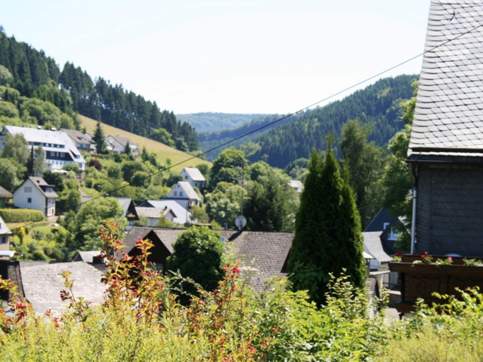 Exterior & Views, Apartment in Willingen Near Ski Lift, Waldeck-Frankenberg
