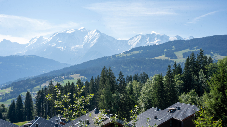 Exterior & Views 2, Chalet Alpen Valley, Mont-Blanc, Haute-Savoie