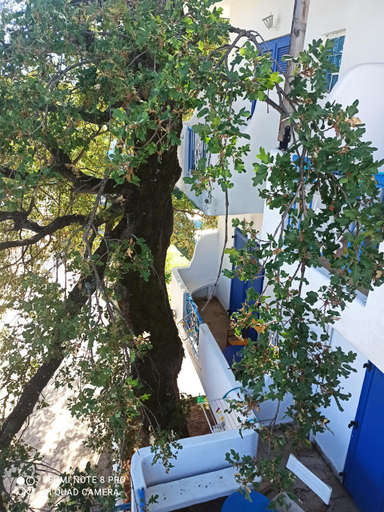 Others 5, Milisia Rooms, East Macedonia and Thrace