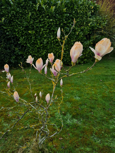 Others 2, Green Haven, Lincolnshire