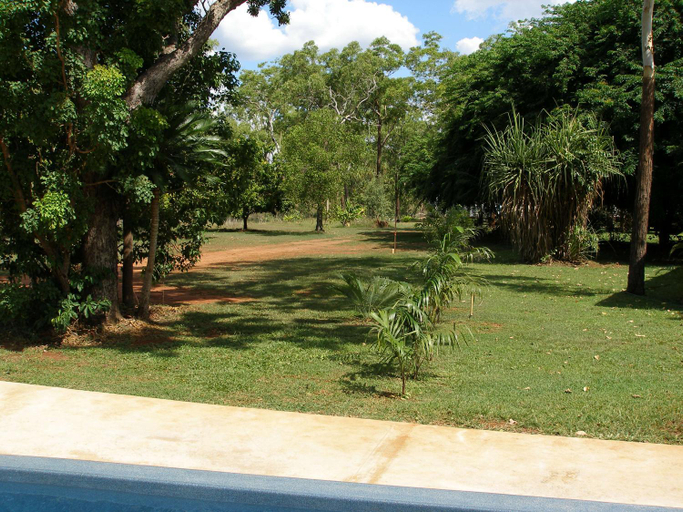 Others 5, Pandanus on Litchfield, Coomalie