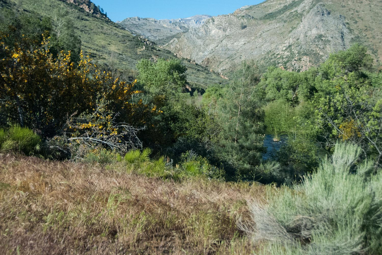 Others 5, Corral Creek Lodge, Tulare