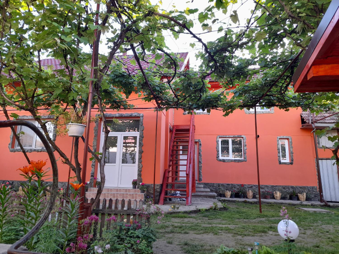 Others 5, Casa Alex, Cartisoara