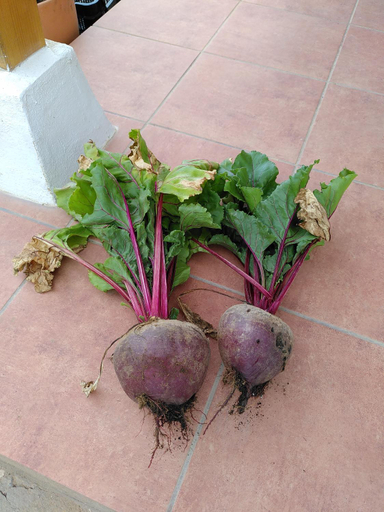 Food & Drinks 2, Sustainable Rural House La Lisa Dorada, Santa Cruz de Tenerife