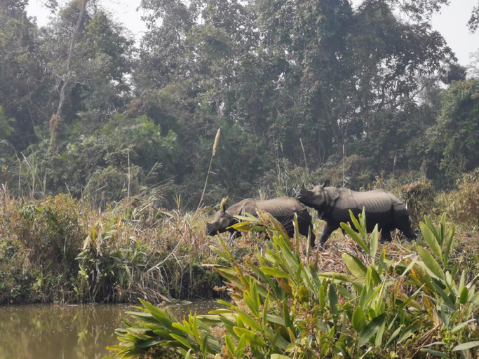 Others 3, Bamby Chilling House - Feel The Nature - Sauraha , Chitwan, Narayani