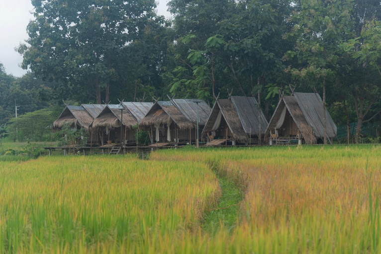 Others 5, Paddy Fields Haven - Natures Nest, Pai