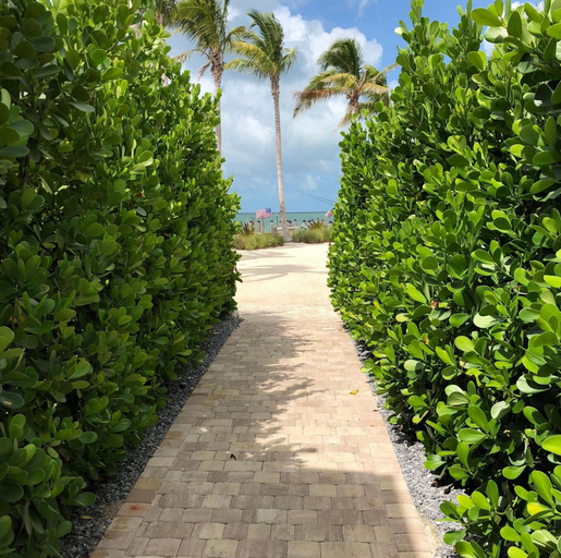 Room 5, 4 Beautiful 4 Bed 3 Bath Pool Home w Free Dock, Monroe
