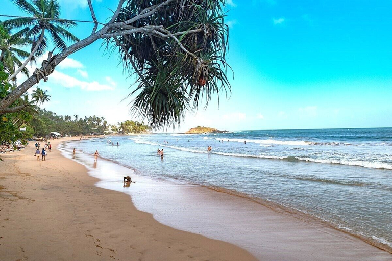 Others 5, DREAM PALACE FAMILY GUEST HOUSE, Weligama