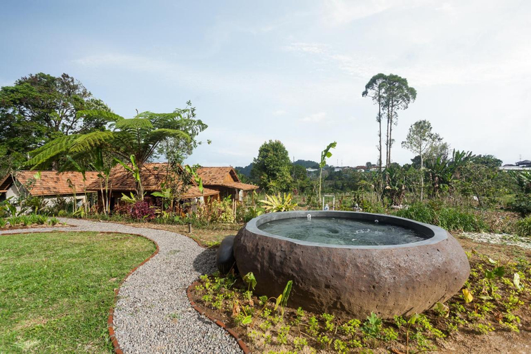 Others 4, Green Lava Cabin, Tabanan