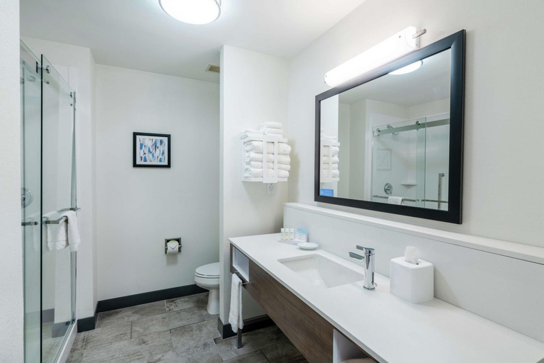 Bathroom 3, Hampton Inn & Suites Opelika-I-85-Auburn Area, Lee