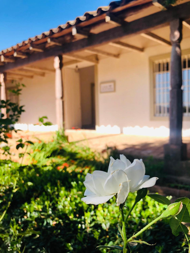 Others 5, Casa Bouchon, Linares