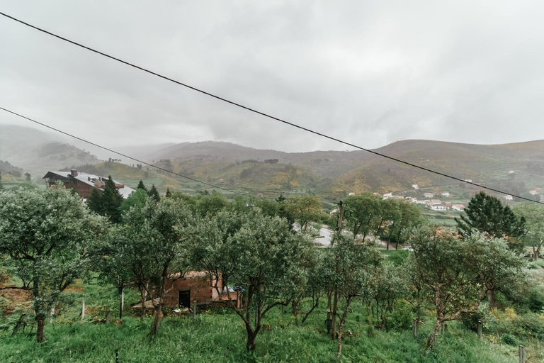 Others 4, Unhais Valley - Country House, Covilhã