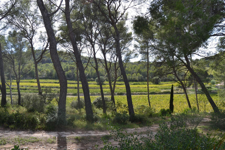 Others 5, Les Pieds Tanques - Chambres d'hotes - Calanque a pieds, Var