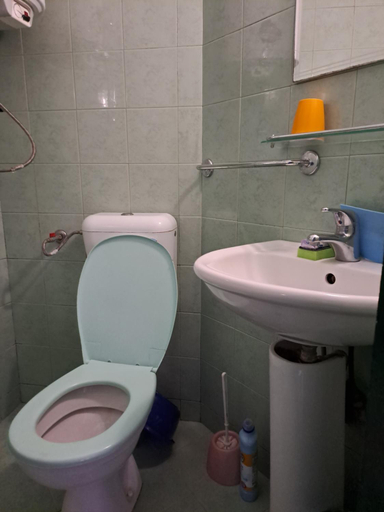 Others 3, Двоина стая вила Фани, Tsarevo