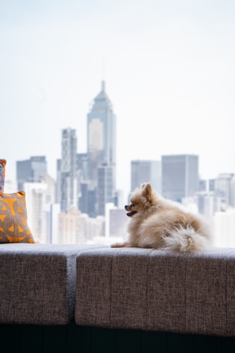 APTO Hotel HV (Causeway Bay), Hong Kong Island