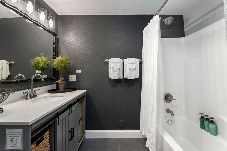 Bathroom, Beautiful Old Town 2 Bedroom Apartment With Bikes!, Larimer