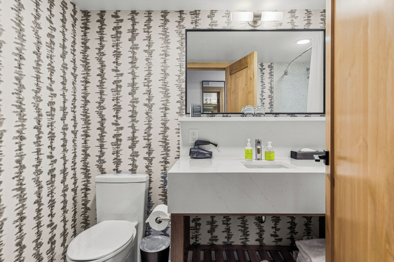 Bathroom 5, Hotel Canoe and Suites, Division No. 15
