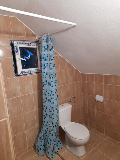 Bathroom 1, Casa Alex, Cartisoara