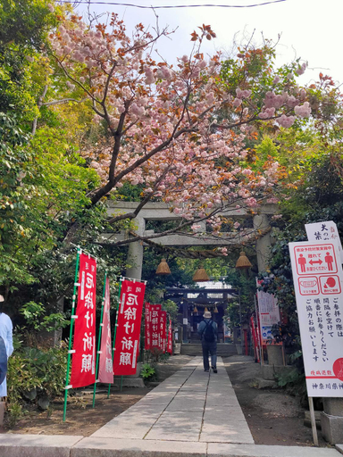 Others 1, jiro de kamakura, Kamakura