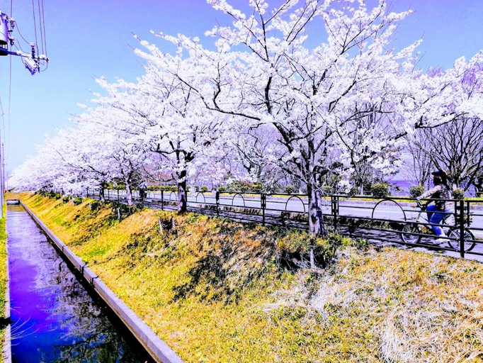 Sport & Beauty, 静かに過ごす古民家ステイ Staying quietly in renovated house, Takashima