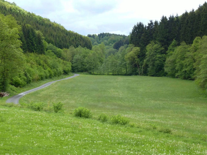 Others 5, Ferienwohnung in der Nahe des Skigebietes, Hochsauerlandkreis