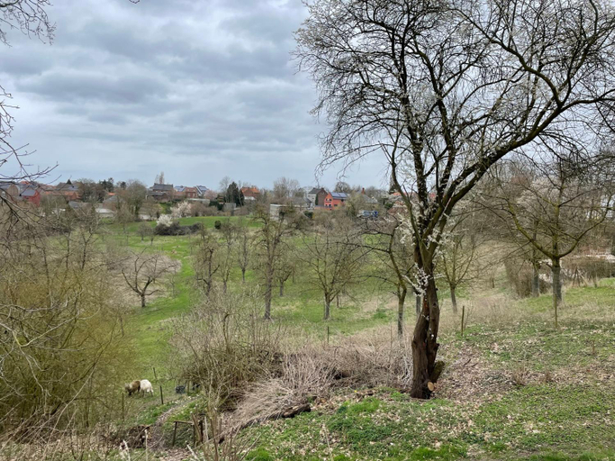Others 5, Ca'Triz, Limburg