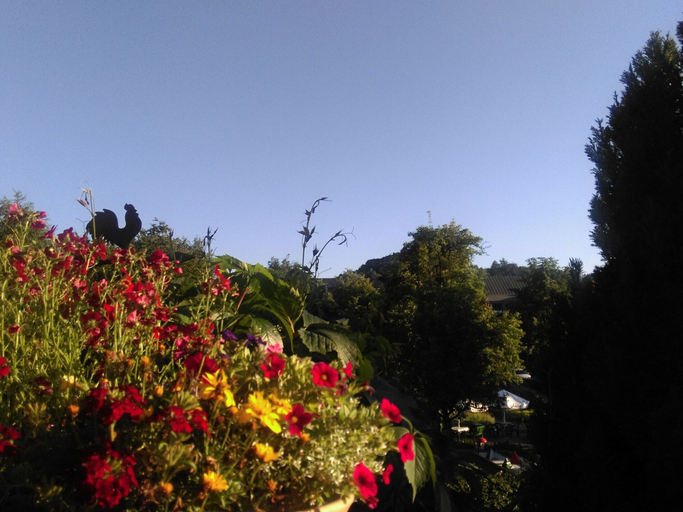 View from property 2, Vibrant Apartment in Willingen With Private Terrace, Waldeck-Frankenberg
