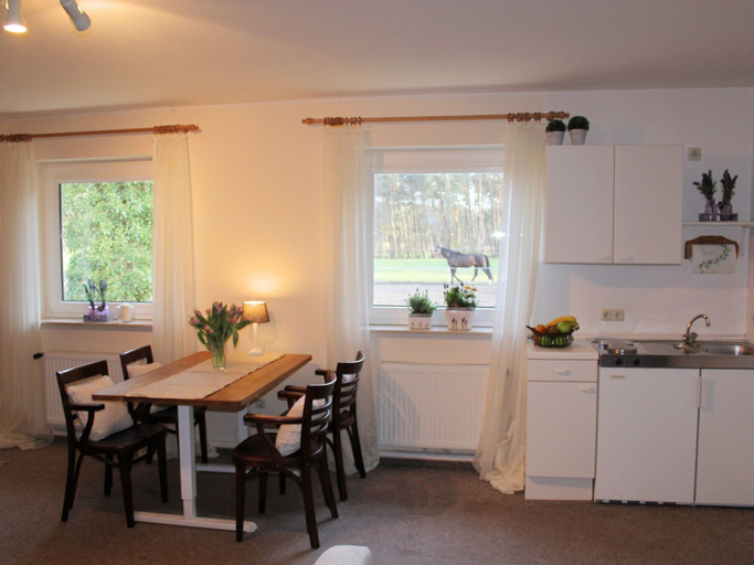 Private kitchen 2, Holiday Home in Kirchdorf With Swimming Pool,terrace, Garden, Diepholz