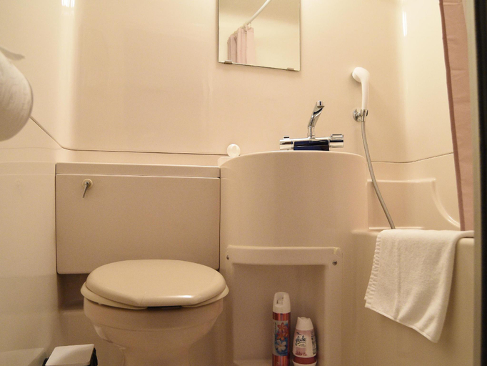 Bathroom 5, BACCHUS Kofu Guest House, Kōfu