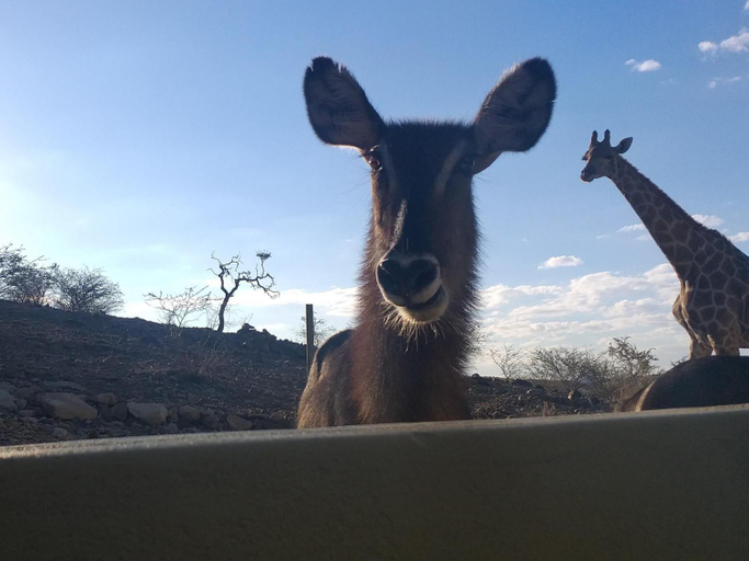Others 5, Uitkyk Guest Farm, Karibib