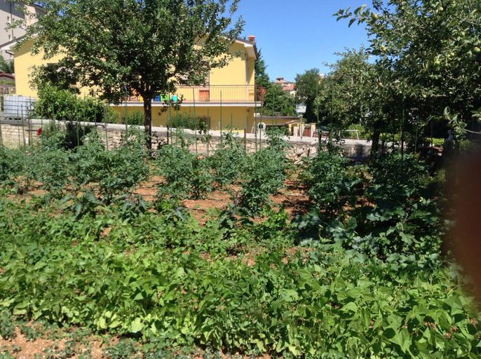 Others 5, green coppito, L'Aquila