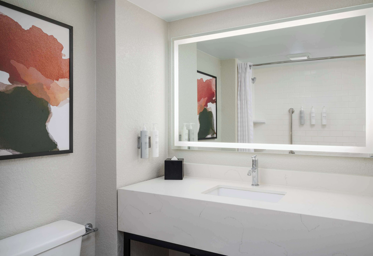 Bathroom 4, Embassy Suites by Hilton Memphis East Germantown Area, Shelby