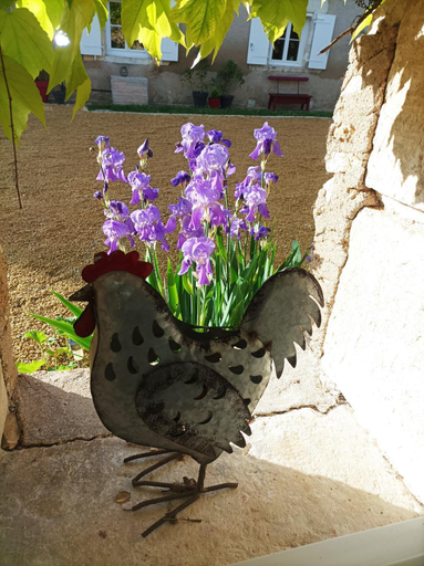 Others 4, Les Iris - Chambre Erable, Vienne