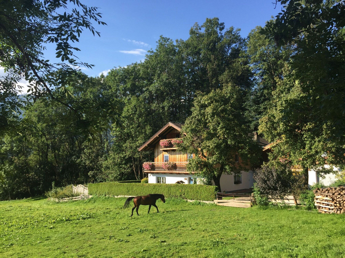 Garden, Special Apartment in Walchen With Private Terrace, Zell am See