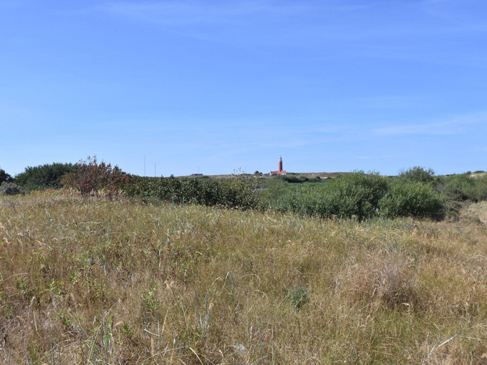 Others 4, Great Holiday Home Energy Neutral on Texel With Sauna and sun Shower, Texel