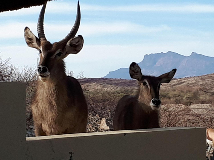 Others 4, Uitkyk Guest Farm, Karibib