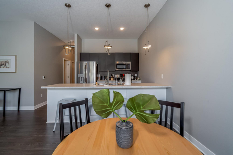 Room 3, Des Moines Amazing 1BD 1BA Downtown Apartment, Polk