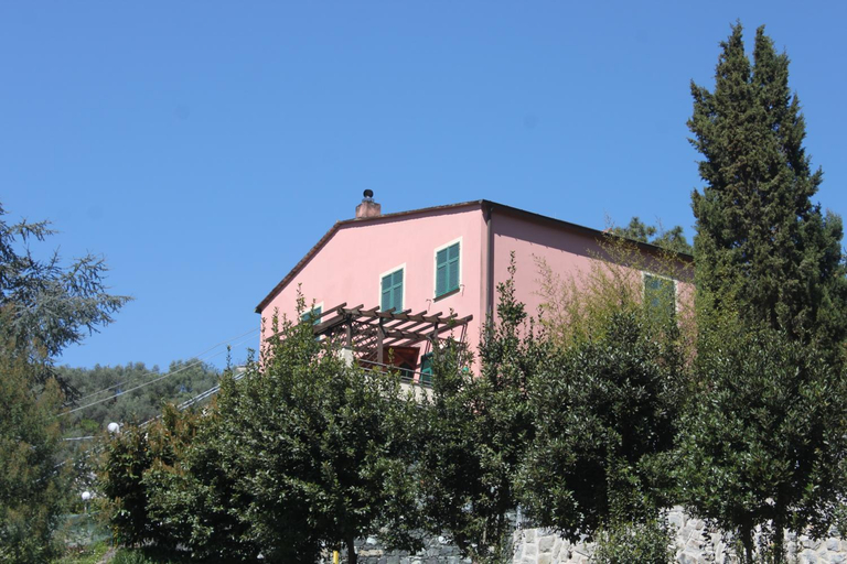 Others 4, L'ulivo - Nature & Relax, La Spezia