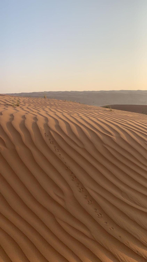Others 5, Royal desert camp, Biddiya
